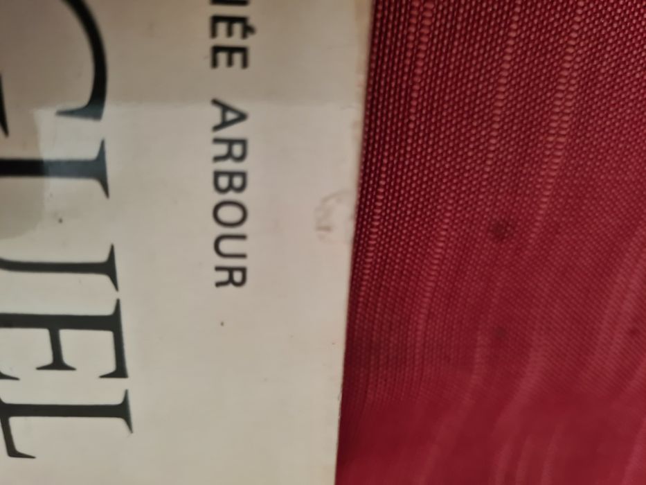 Livro Miguel Ângelo