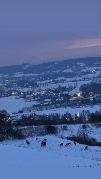 Domek na wynajem, Noclegi, Wynejm krotkoterminowy