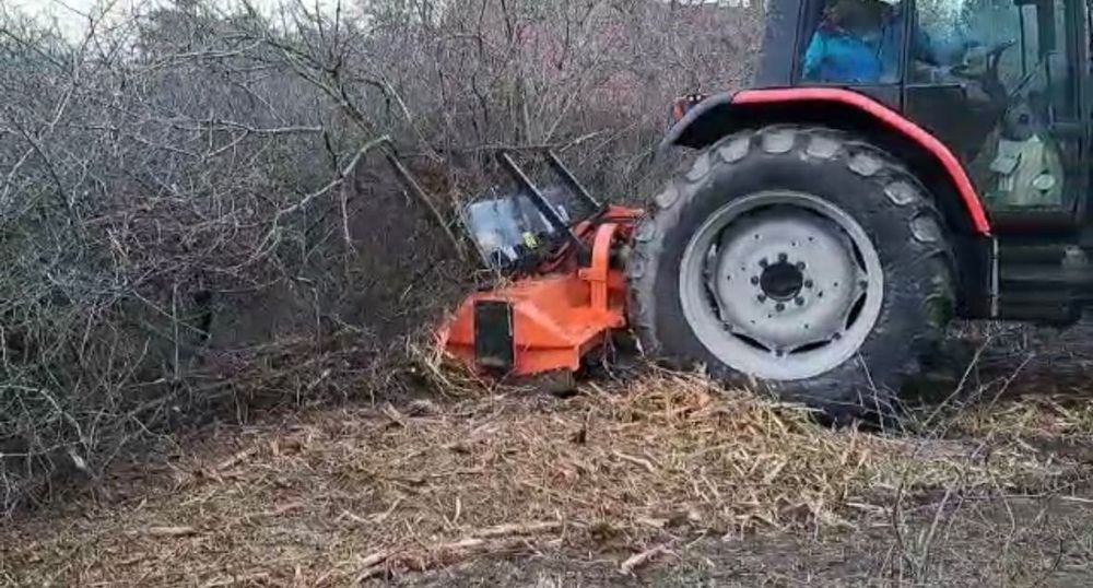 Mulczer czyszczenie działek