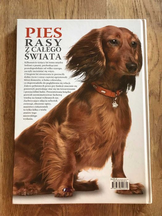 Pies Rasy z całego świata