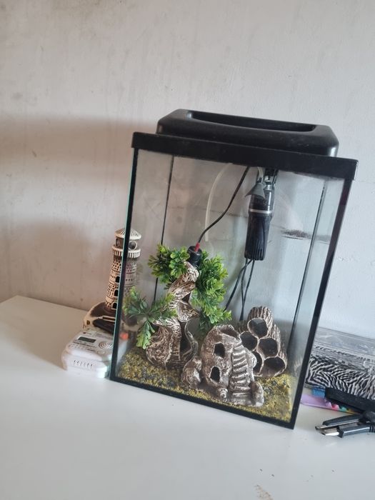 Sprzedam akwarium za 100 zl