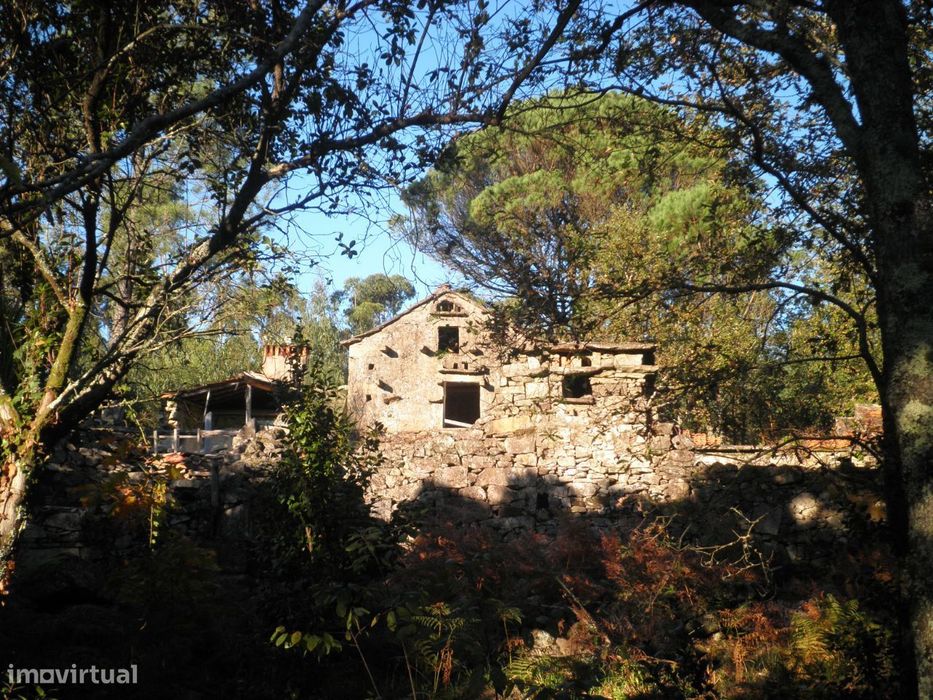 Quinta – Sever do Vouga