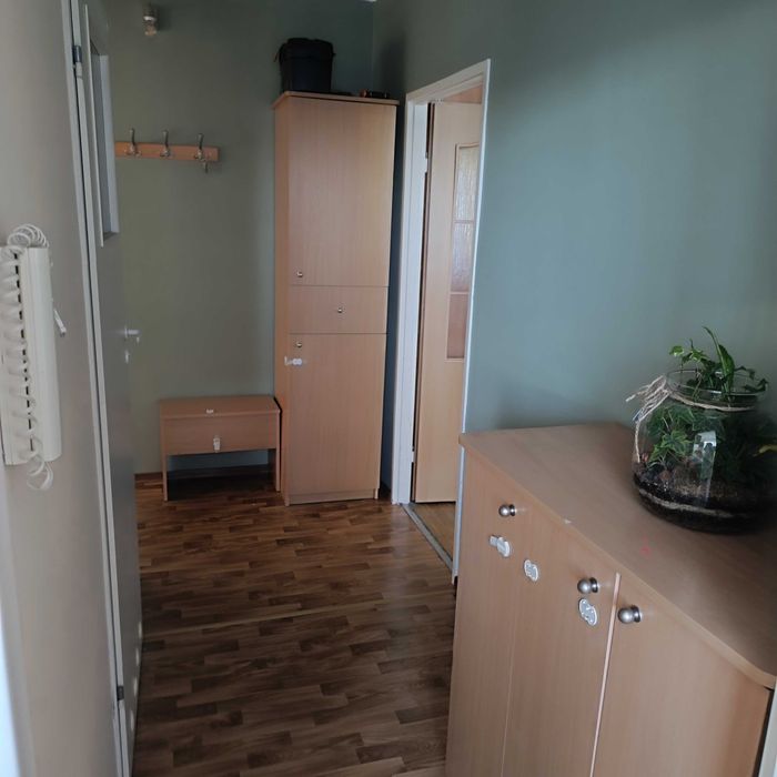 Apartment in Łódź, Henryków, Mileszki - Widok 5