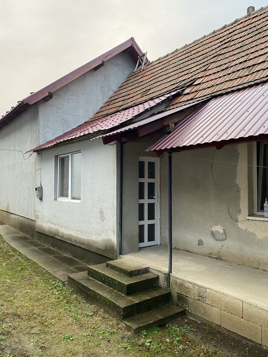 Продам будинок у ппредмісті Берегова