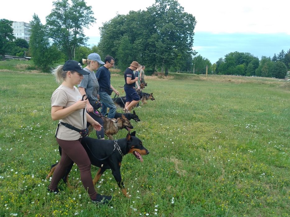 Послуги Кінолога