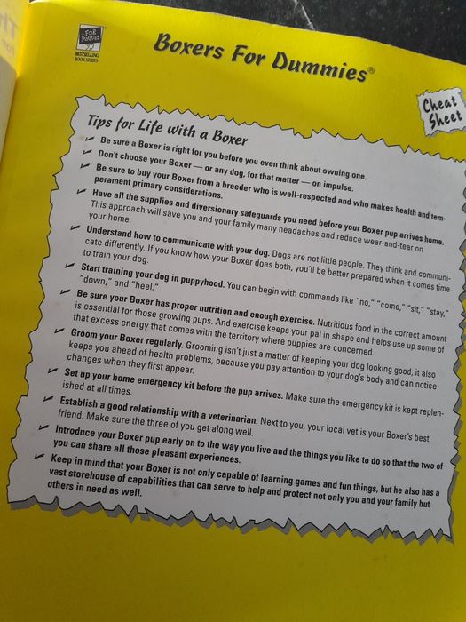 Livro Boxers for Dummies em inglês