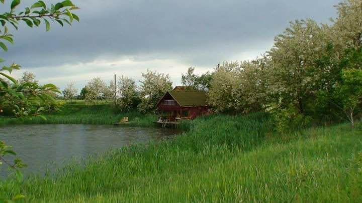 Продається озеро з земельною ділянкою