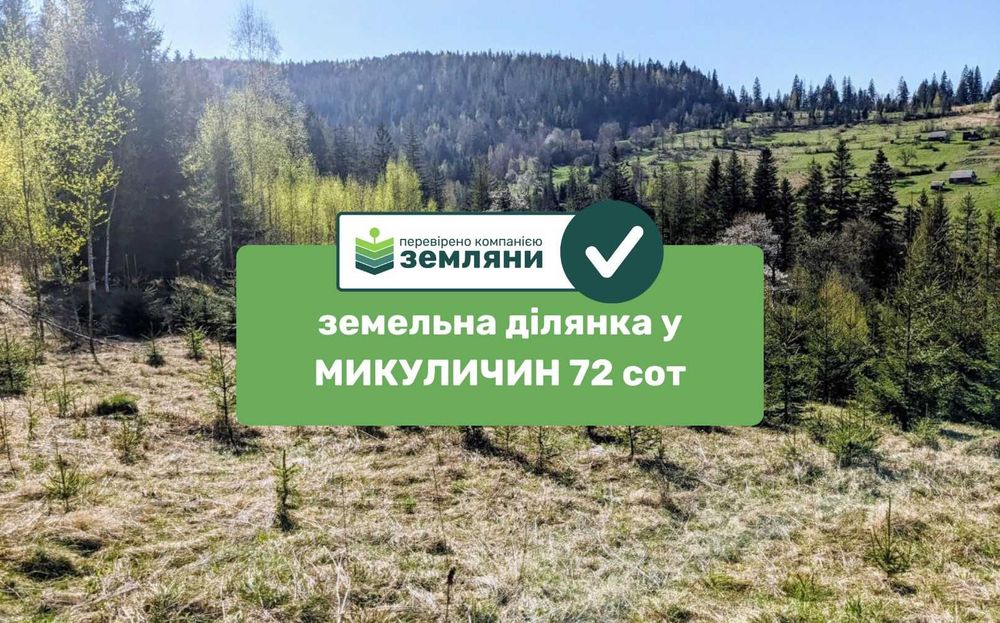 Видова ділянка в Микуличині 72 сот