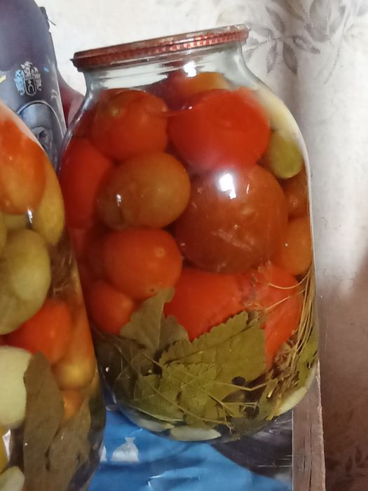 Консервация домашняя