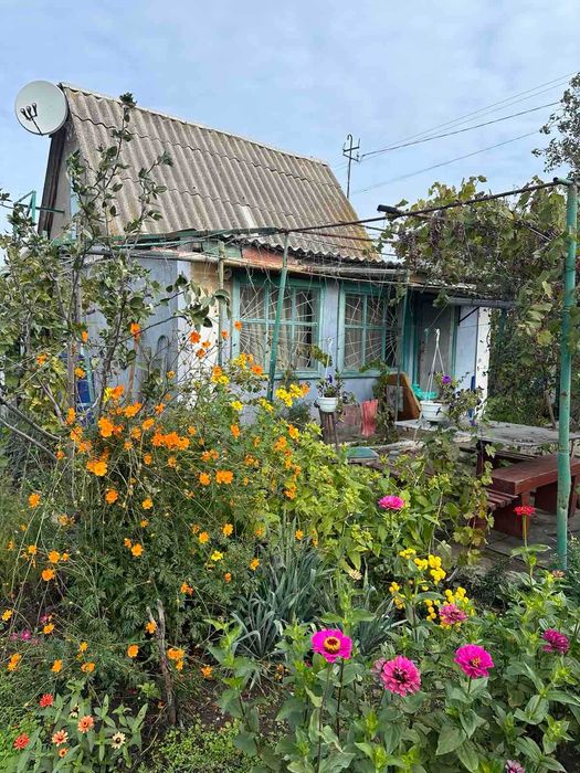 Дачний будинок в с. Галіцинове. СТ Металург