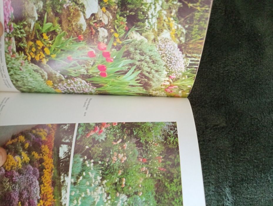 Encyclopédie du jardinage "Les fleurs" 1974 marabout	Annie Morand	1974
