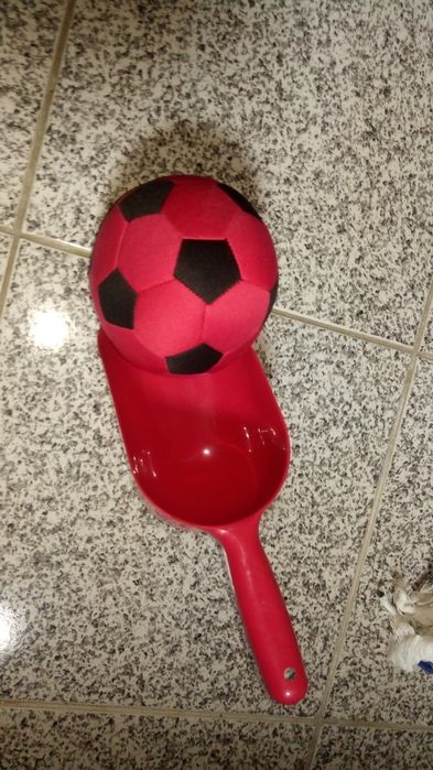 Acessórios cães novos