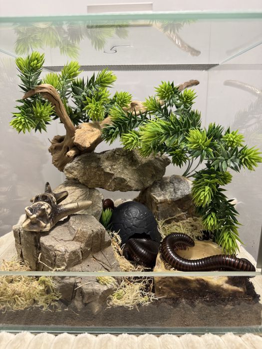 Декор в терраріум / акваріум , укриття, аксесуари