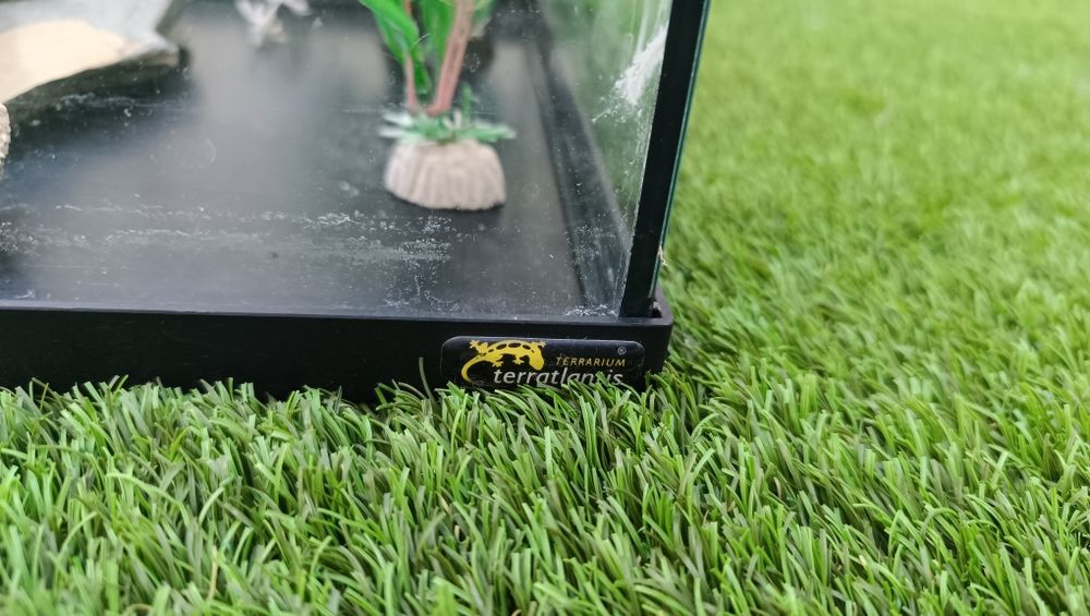 Tartarugueira/ Terrarium