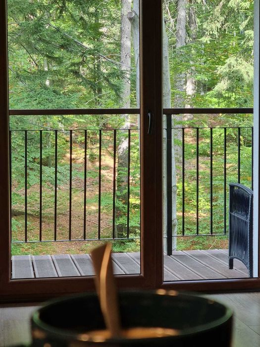 Apartament Rodzinny z pięknym widokiem na las,balkon Szklarska Poręba