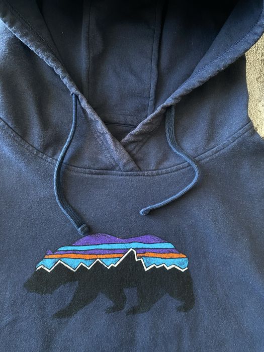 Худі Patagonia Fitz Roy Bear