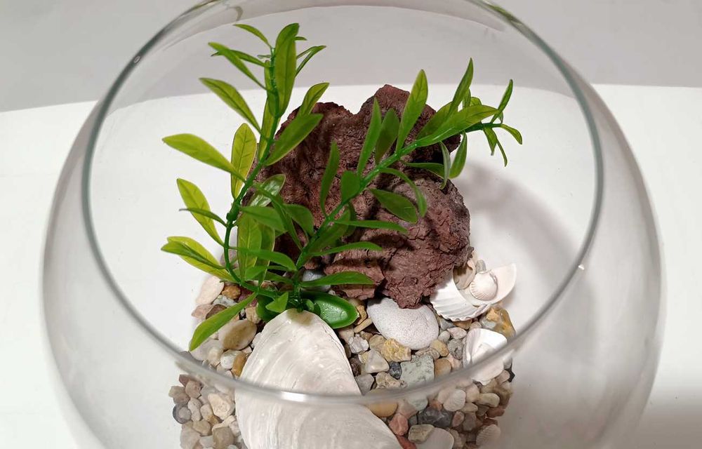 Aquário de Vidro Redondo (Globo) + Aquecedor + Filtro + Decorações