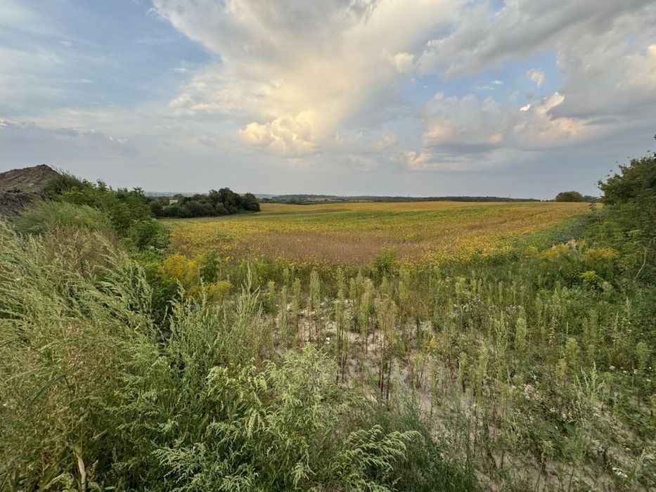 Продаж земельної ділянки в Дублянах перша лінія до Київської траси