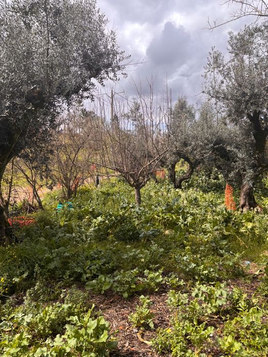 Casa para recuperar com furo