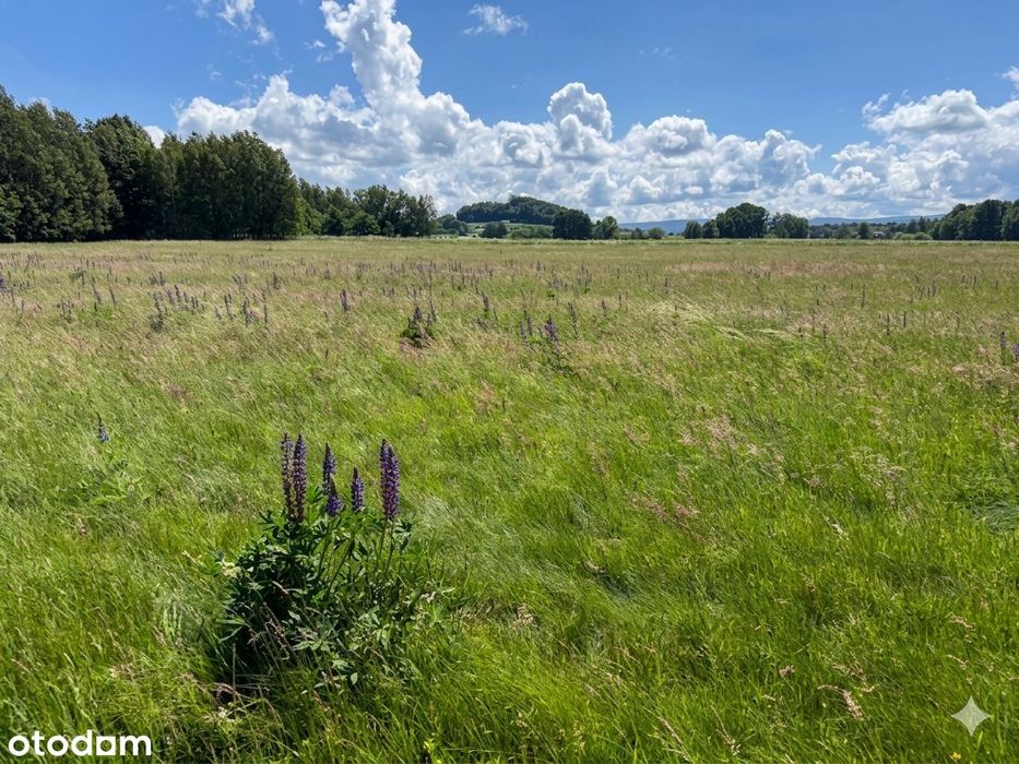 Widok na Góry Izerskie | Działki budowlane 1150 do 1580 m² | Proszówka