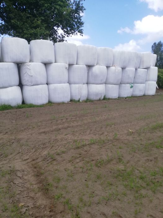 Fardos de feno silagem