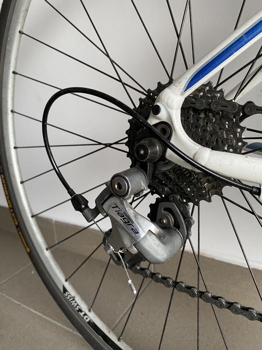 Rower szosowy SPECIALIZED Dolce Elite 47