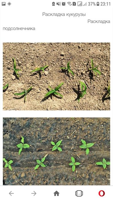 Сіялка Матермак 3xl 800