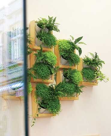 Modulo para construção de Jardins Verticais