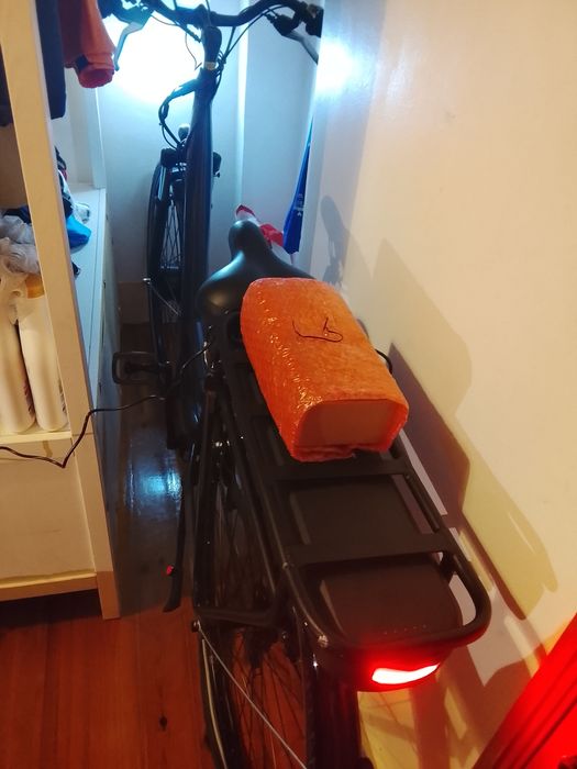 Bicicleta elétrica