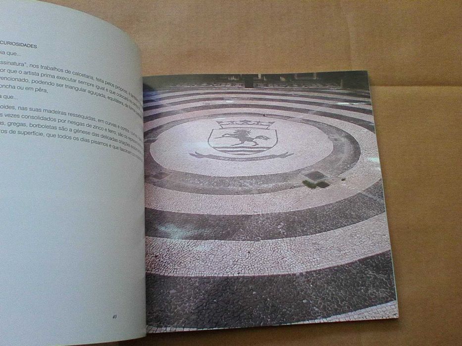 Técnicas de Calçada: Manual do Formando