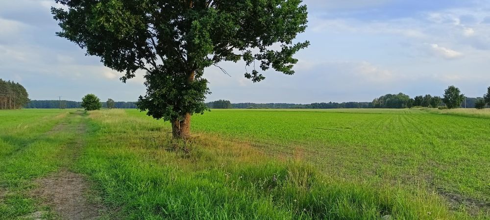 Działka budowlana