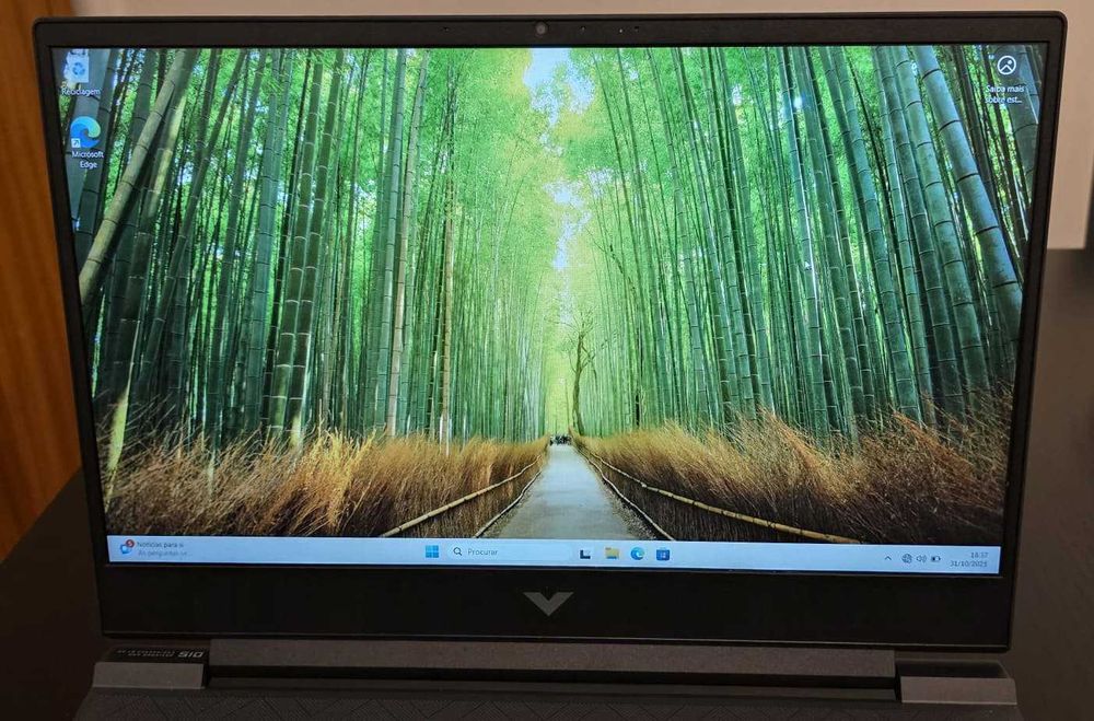 Portátil HP Victus Gaming 15-fb0010np