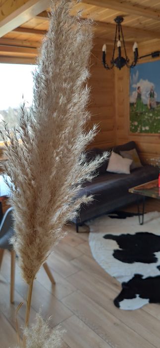 Domek nad jeziorem wolny od dziś, weekend balia  jacuzzi wakacje urlop