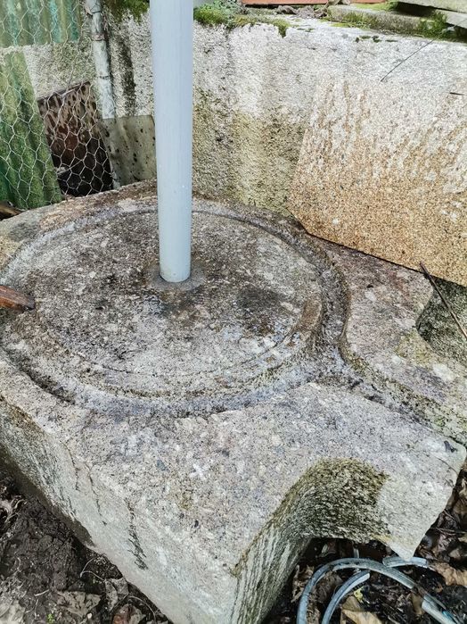 Prensa de Uvas  com todas os acessórios