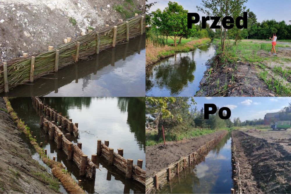 Faszynowanie Kopanie Stawu Umacnianie Brzegów