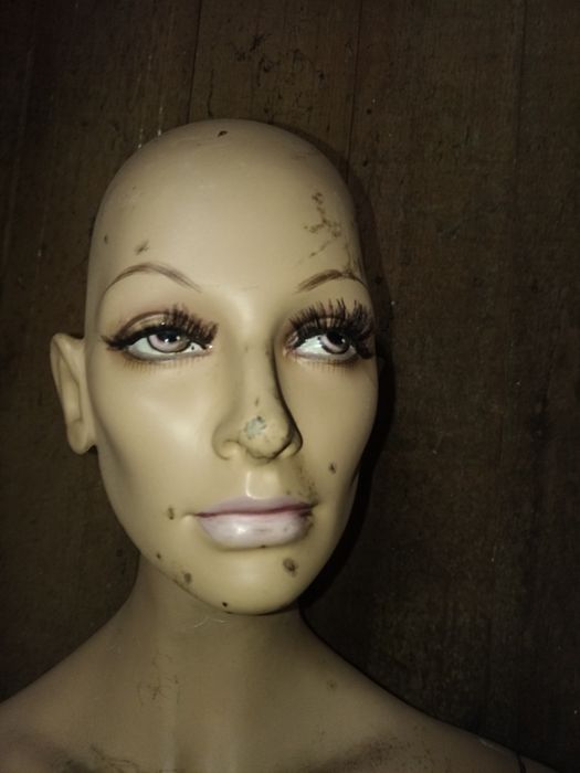 Manequim feminino adulto antigo vintage