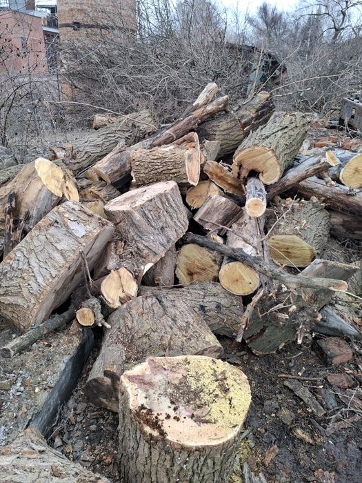 Продам дрова твердих порід