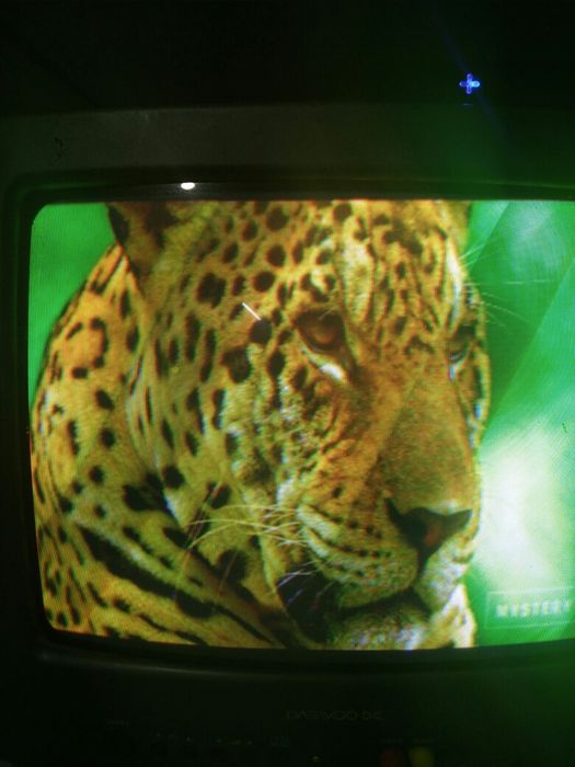 Телевизор Daewoo .