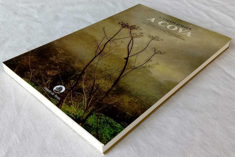 Livro A Cova de Cynan Jones [Portes Grátis]