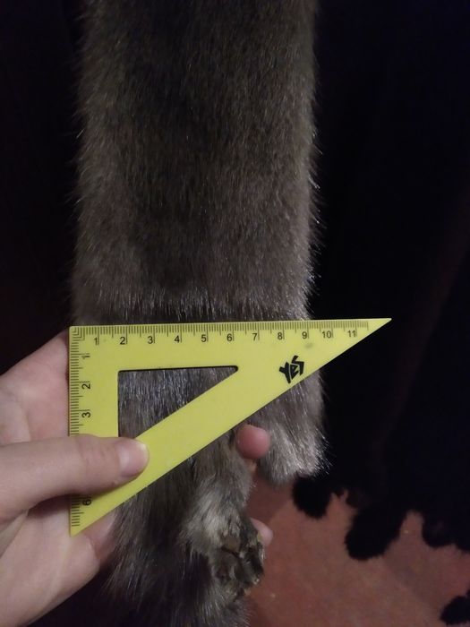 Шкурки норки