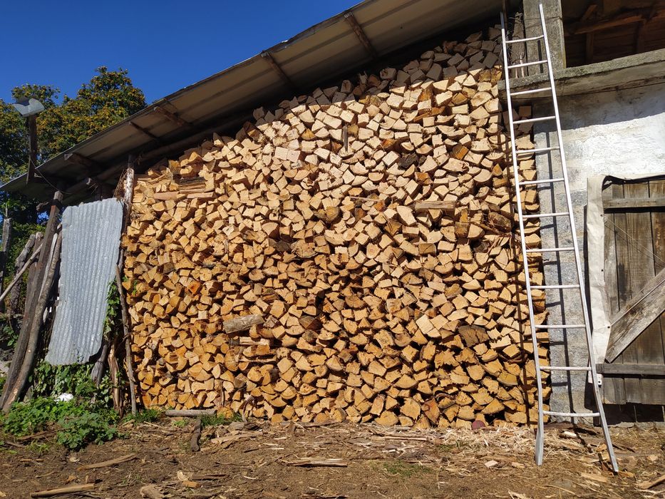 Lenha seca de carvalho e eucalipto.Milho miúdo