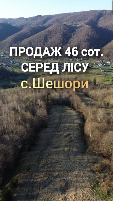 Продаж земельної ділянки 46 сот з неймовірним краєвидом в с. Шешори