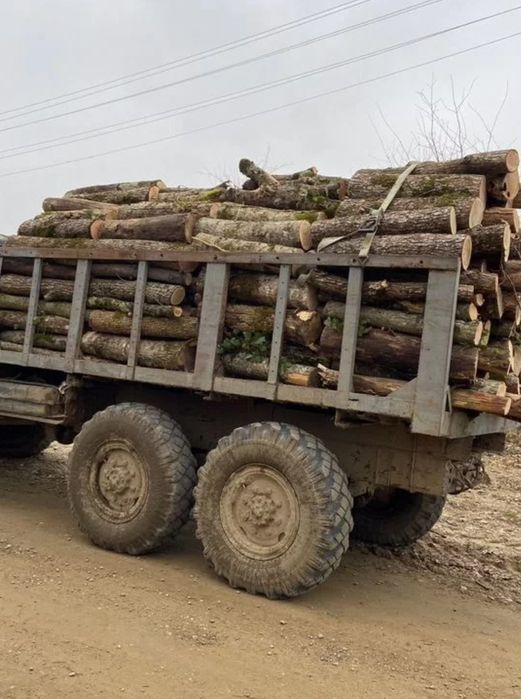 Дрова оптом і в роздріб, дуб, береза, вільха без повітря. 2-5-6-27 м3