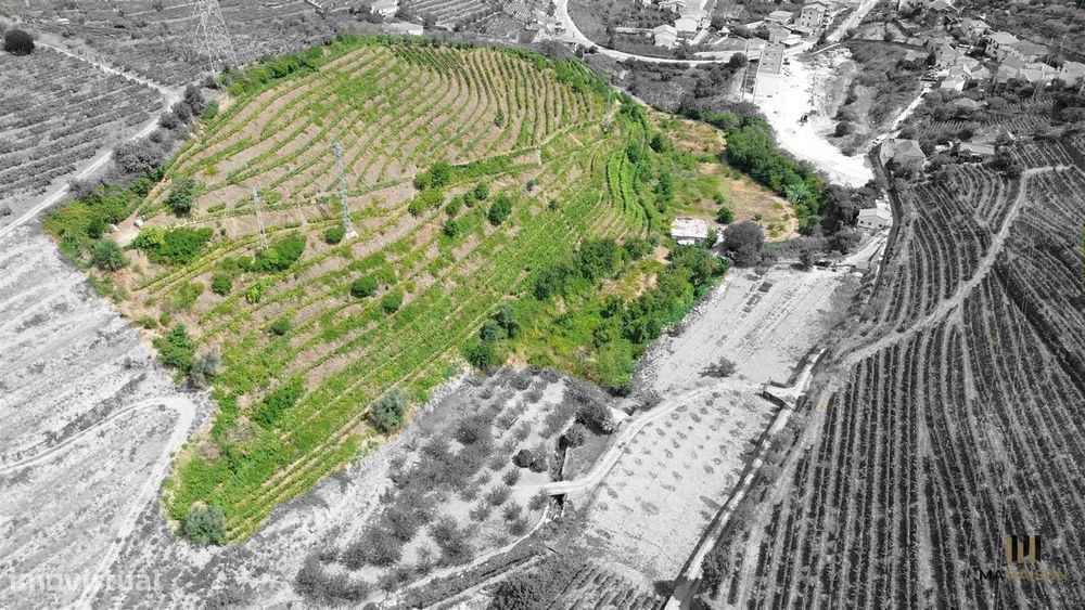 Quinta Das Lamas | + De 2 Hectares | Douro