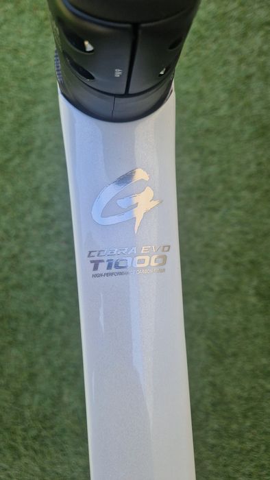 Quadro Gusto Cobra EVO