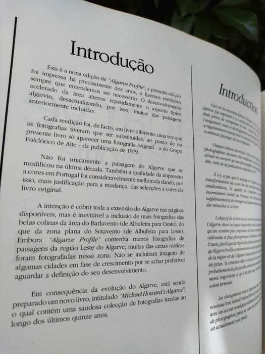 Algarve Profile (Michael Howard)