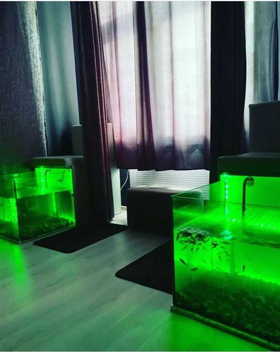 Sprzedam piękne akwaria do Fish Spa