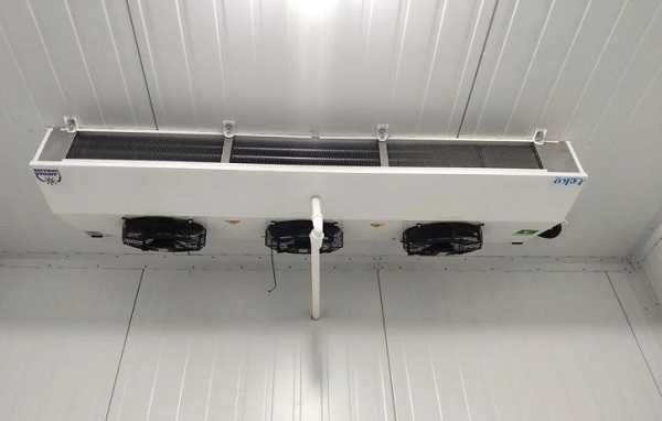 Камера для овочів  0 + 6 °C Франківськ, Бурштин, Галич