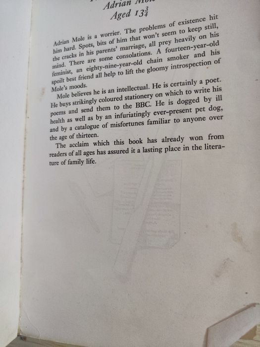 The Secret Diary of Adrian Mole aged 13 3/4 - Sue Townsend