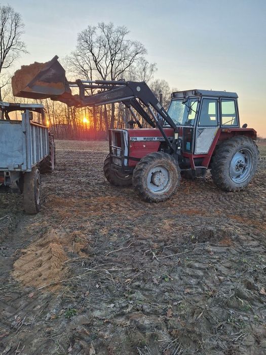 Massey Ferguson 1114  Sprzedam Massay Ferguson 1114